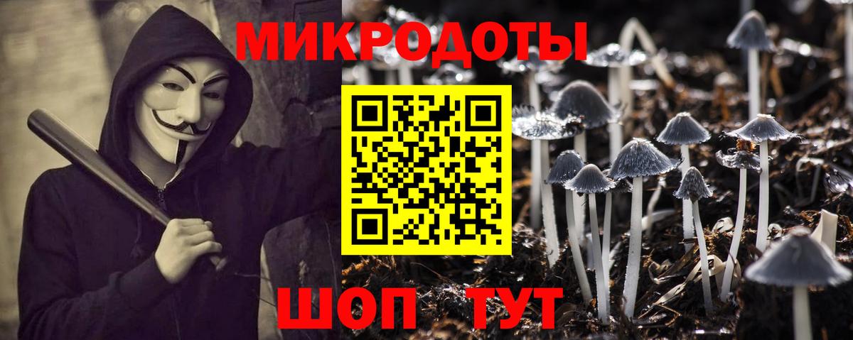 Псилоцибиновые грибы Psilocybine cubensis Моздок