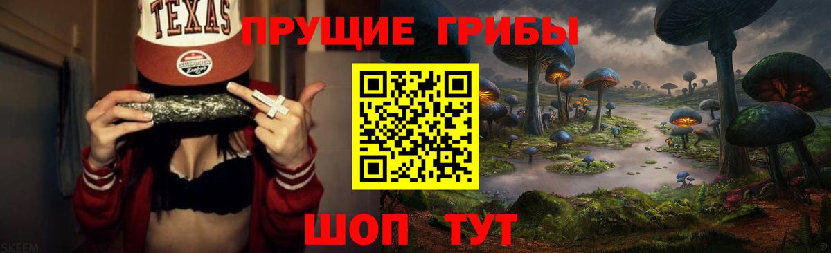 Моздок  где купить наркоту  Вход с VPN  Галлюциногенные грибы Psilocybine cubensis 